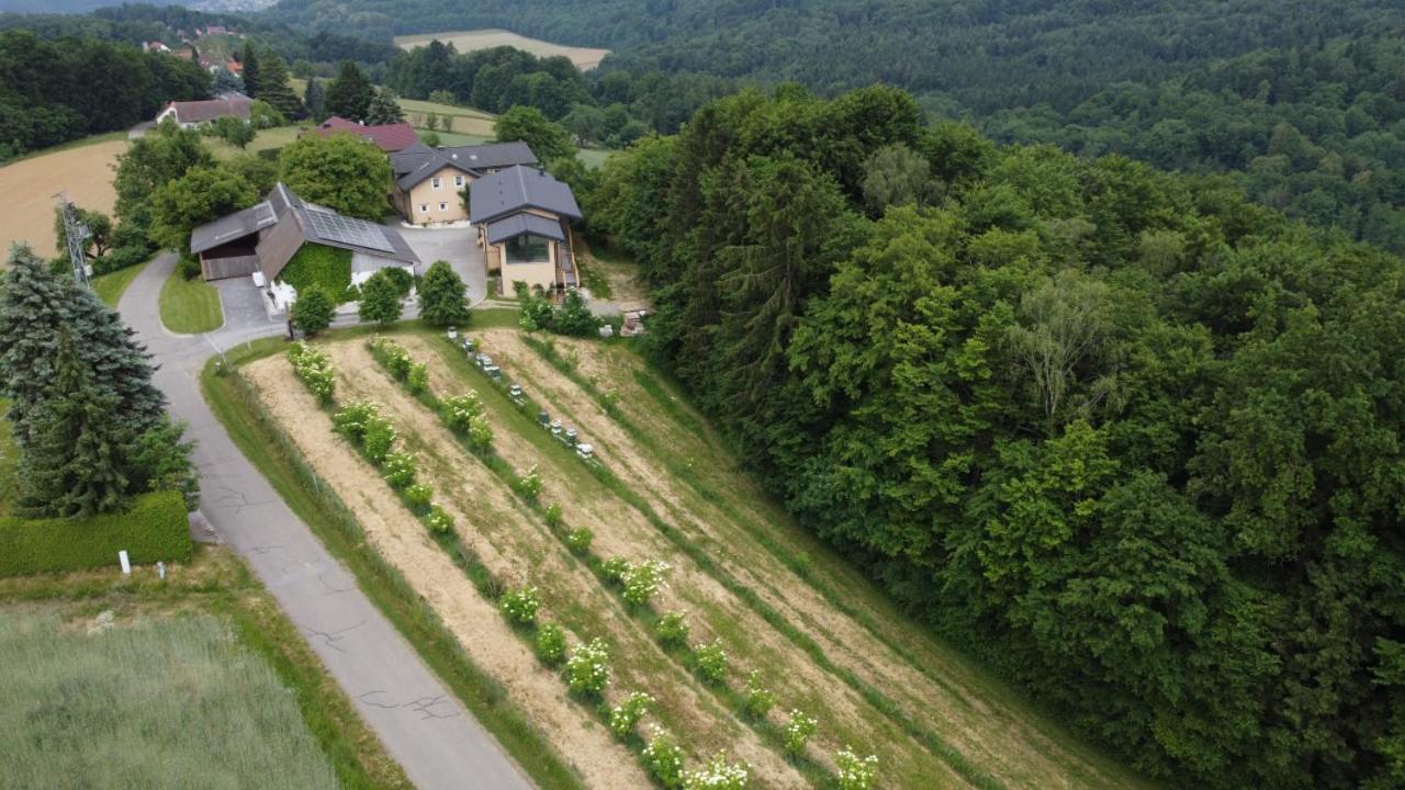 Апартаменты Beim Bergjosl Kirchbach in Steiermark Экстерьер фото