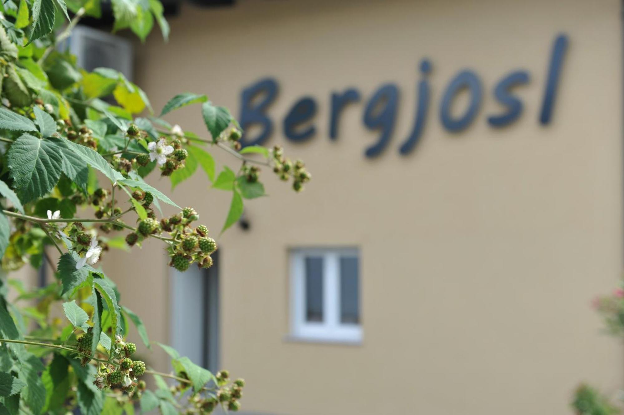 Апартаменты Beim Bergjosl Kirchbach in Steiermark Экстерьер фото